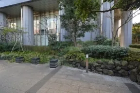 低層部