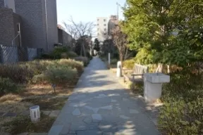 雑木林の路地