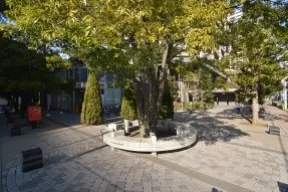木漏れ日広場