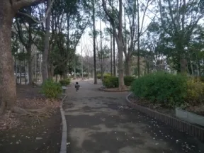 等々力緑地