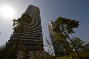敷地北側から