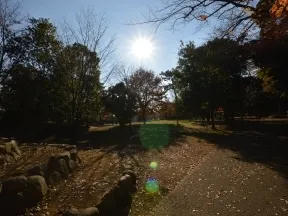 三宿の森緑地