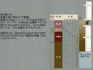 構造