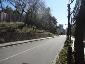 学習院敷地沿いの緩やかな坂道