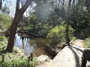 おとめ山公園