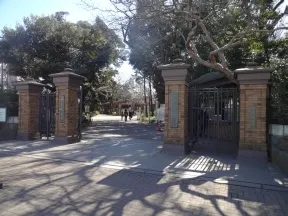 学習院（幼・小・中・高・大）