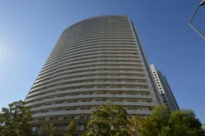 南東側のイチョウ並木道から建物を見上げ<br>る