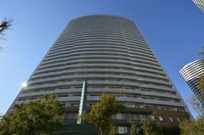 南東側のイチョウ並木道から建物を見上げ<br>る