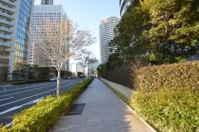 既にＭＭタワーズフォレシスの敷地です<br>が、エントランスはそのまま直進です
