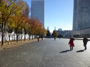 美術の広場公園