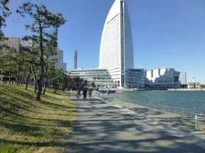 新港パーク