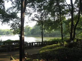 井の頭恩賜公園