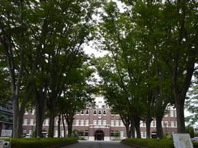 成蹊大学