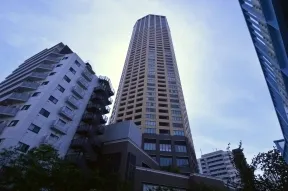 北側より