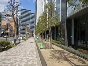 西側歩道