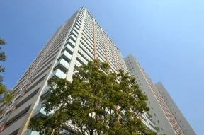 南西から見た外観