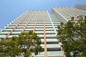 南から見た外観