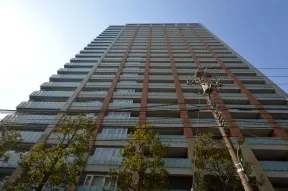 東から見た外観