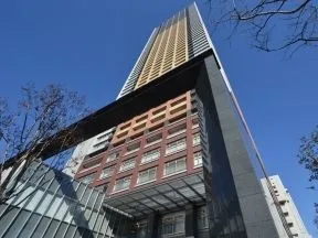 敷地南側から見上げた外観