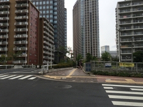 直進すると小関橋があり、写真中央に見<br>えているのが「パークシティ大崎　ザ　<br>タワー」です。