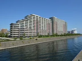 境川より