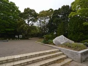 柏の葉公園