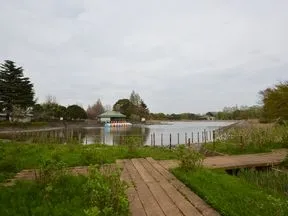 柏の葉第２水辺公園