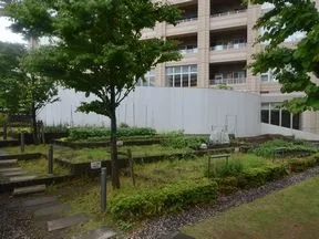 コモン菜園