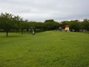 高洲中央公園