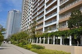 緑豊かな海沿いのプロムナード