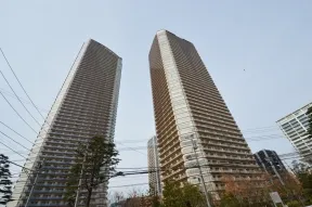 南東より綱島街道より２