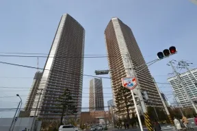 南東より綱島街道より３
