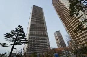 南側綱島通りより