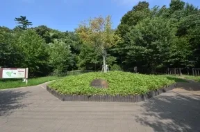 世田谷区立成城四丁目緑地
