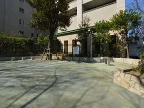 染井の杜広場