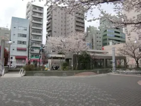 染井吉野桜記念公園