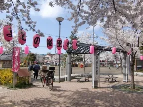 染井よしの桜の里公園