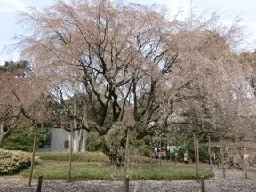 六義園
