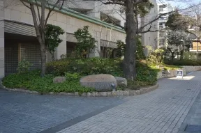 北側前面道路から見たエントランス