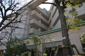 前面道路、北東側から見た外観