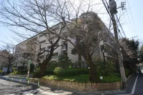 前面道路、北側から見た外観