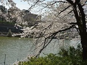 外濠公園