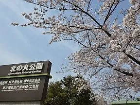 北の丸公園