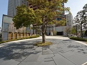 シンボルツリー