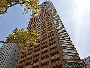 シンボルツリーから見上げた外観