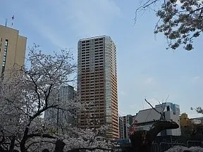 外濠公園から見た外観