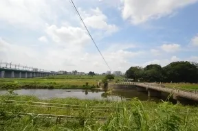 兵庫島公園