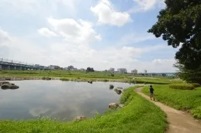 兵庫島公園