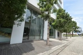 低層部