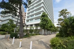 多摩川側公開空地